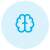 icn-cerebro